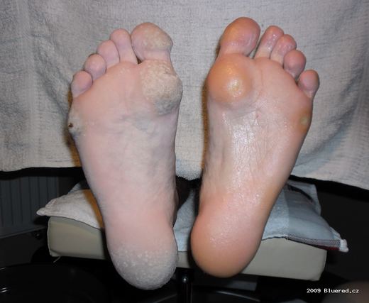 Sam 0448